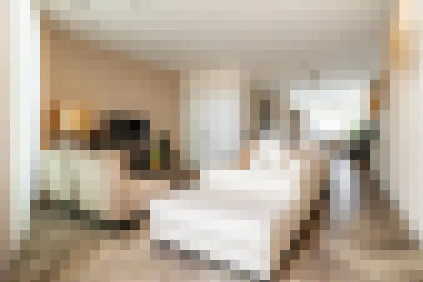 Isabellakade 11 Breda thumbnail 15