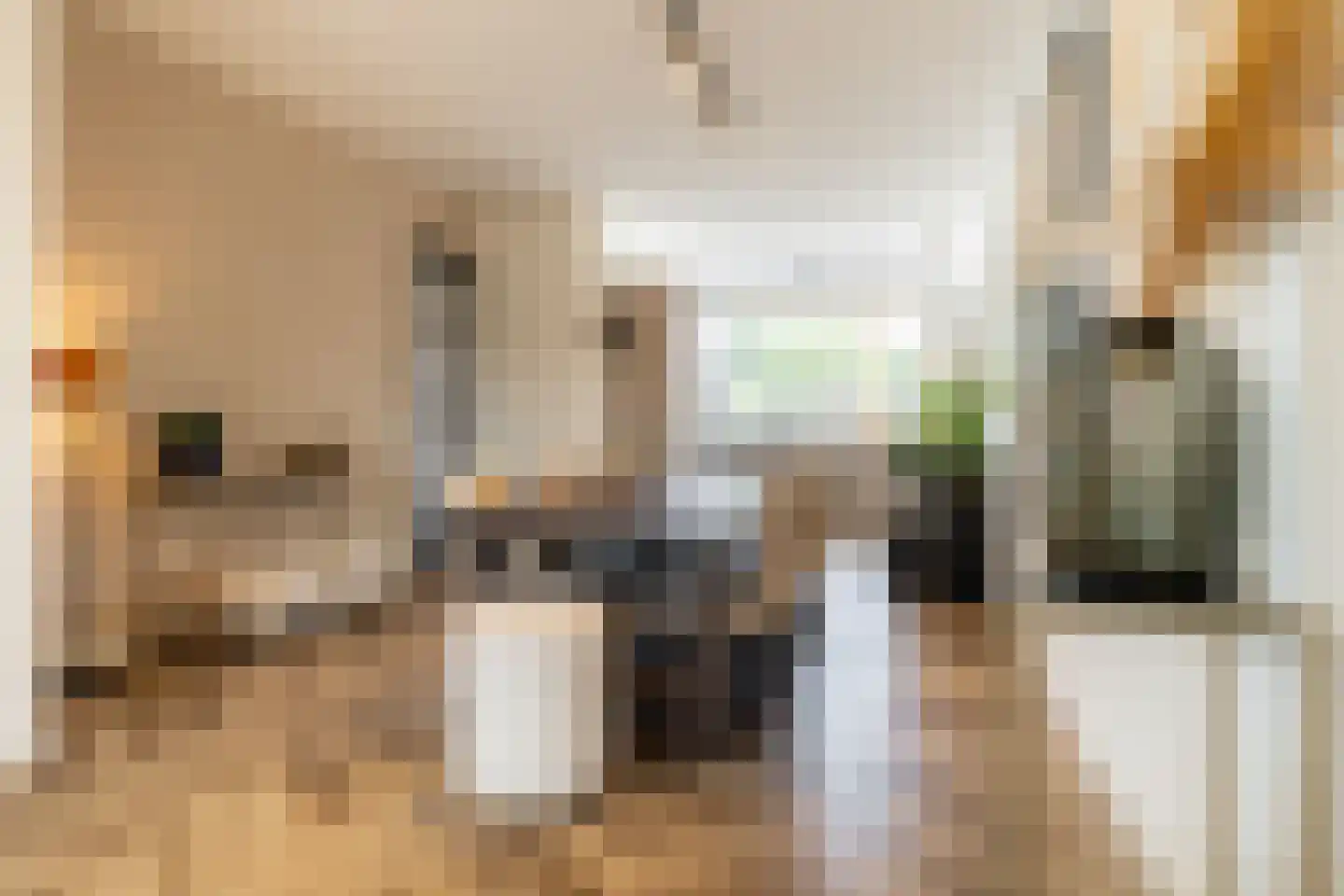 Isabellakade 11 Breda thumbnail 17