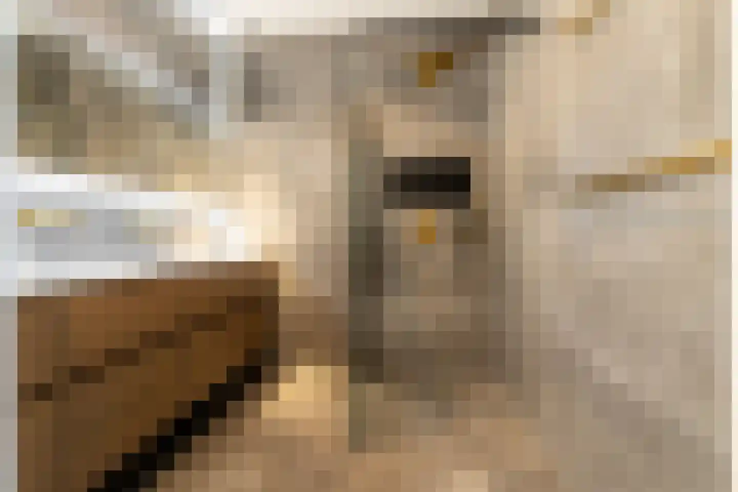 Isabellakade 11 Breda thumbnail 5