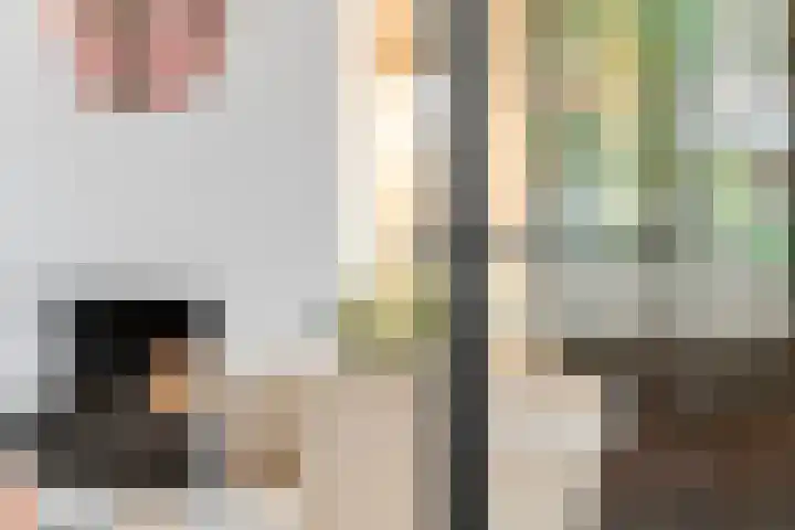Isabellalaan 11 Waalre thumbnail 10