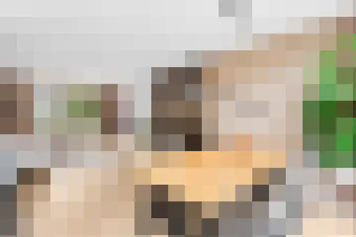 Isabellalaan 11 Waalre thumbnail 12