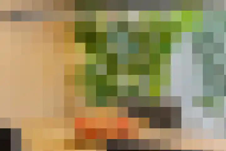 Isabellalaan 11 Waalre thumbnail 16