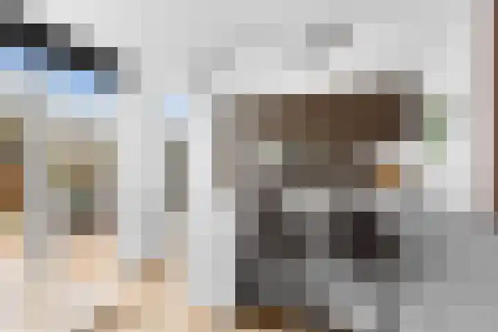 Isabellalaan 11 Waalre thumbnail 19