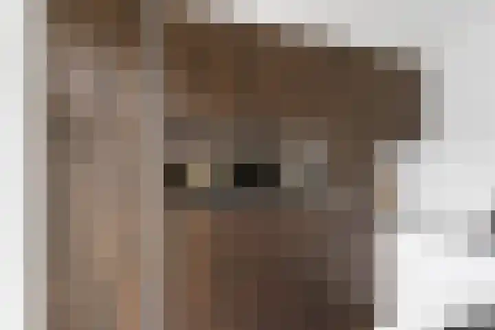Isabellalaan 11 Waalre thumbnail 21