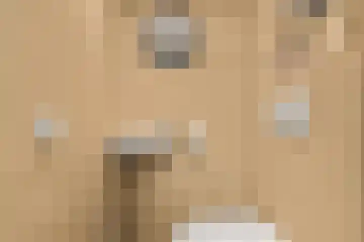Isabellalaan 11 Waalre thumbnail 33