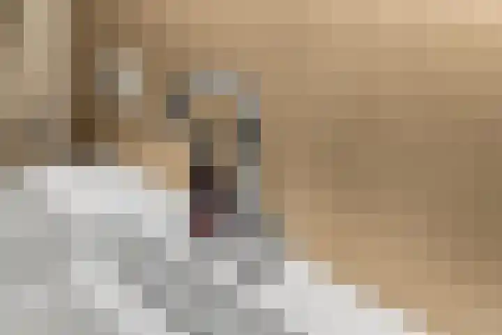 Isabellalaan 11 Waalre thumbnail 40