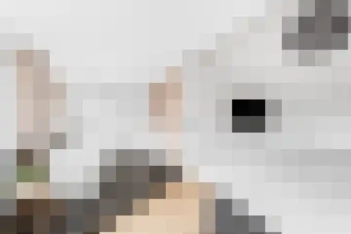 Isabellalaan 11 Waalre thumbnail 54