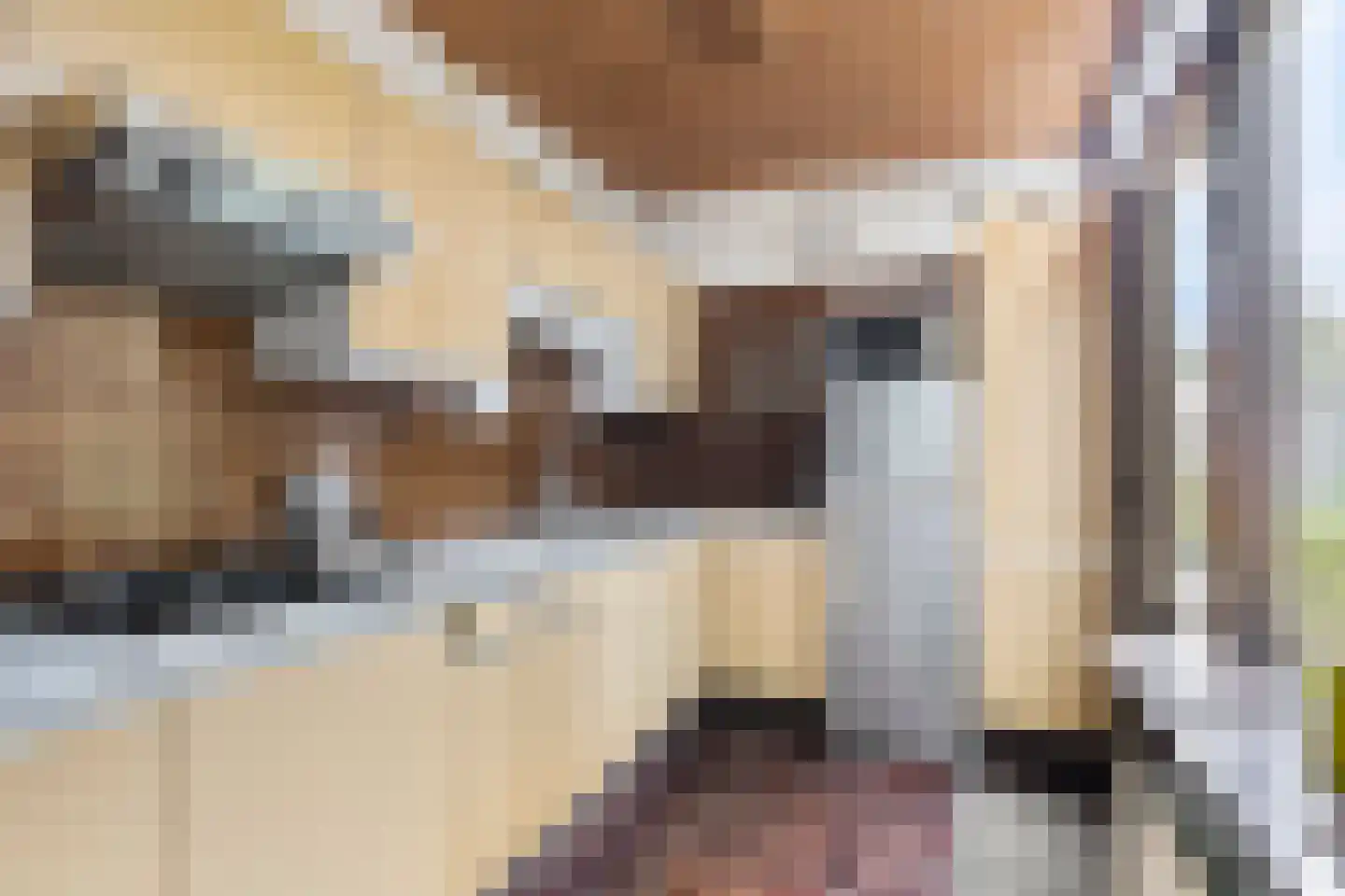 Isabellalaan 2 Waalre thumbnail 12