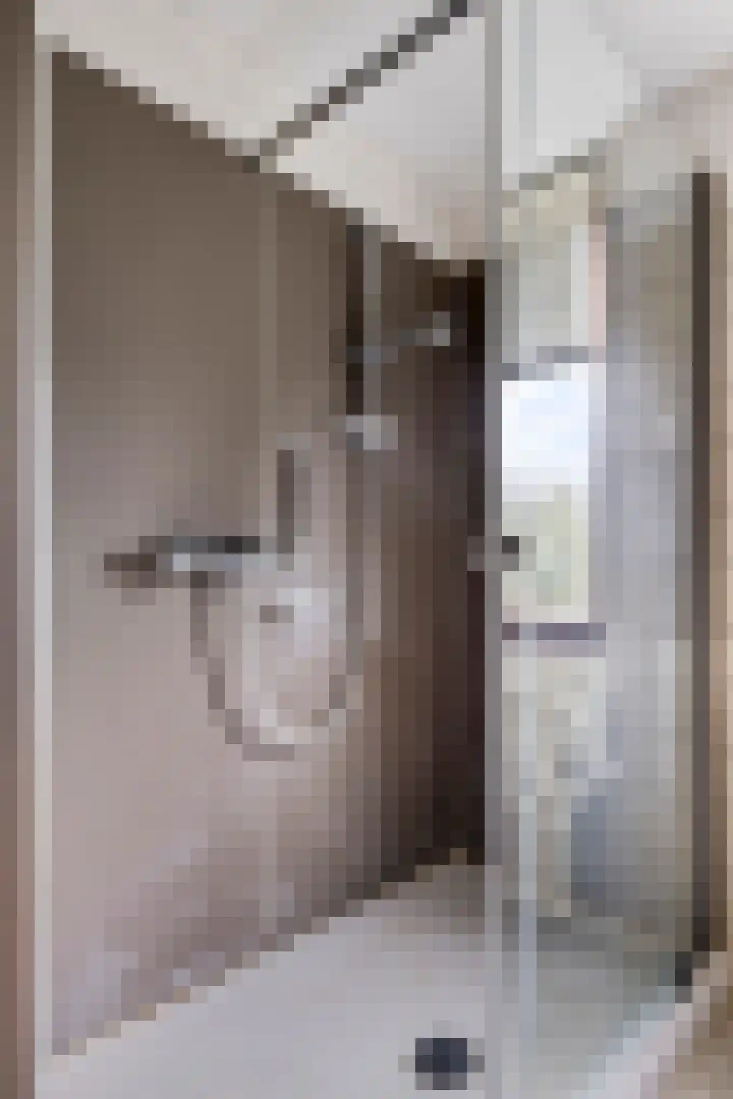 Isabellalaan 2 Waalre thumbnail 20