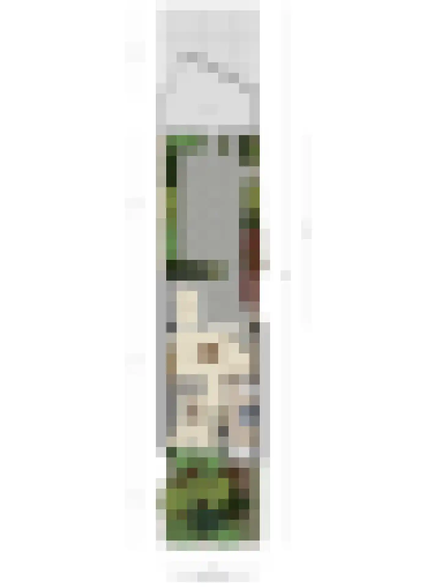 Isabellalaan 2 Waalre thumbnail 29