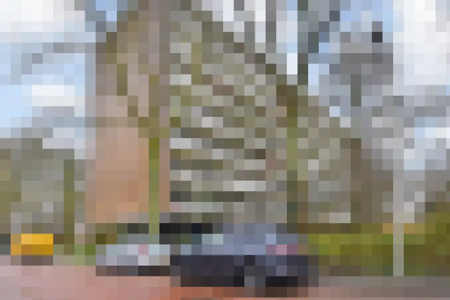 Isabellaland 1054 Den Haag thumbnail 21