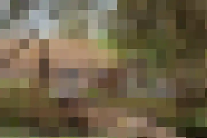 Isabellaland 1490 Den Haag thumbnail 19