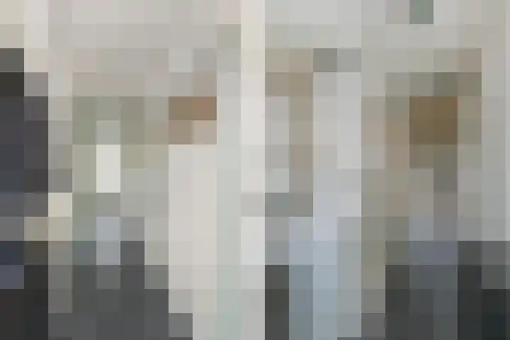 Isabellaland 1504 Den Haag thumbnail 11