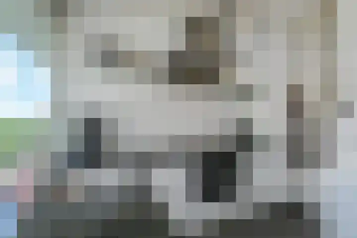 Isabellaland 1504 Den Haag thumbnail 12