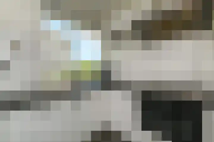 Isabellaland 1504 Den Haag thumbnail 13