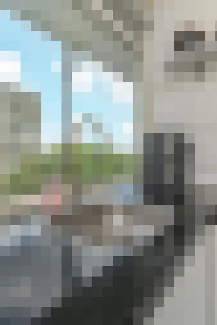 Isabellaland 1504 Den Haag thumbnail 16