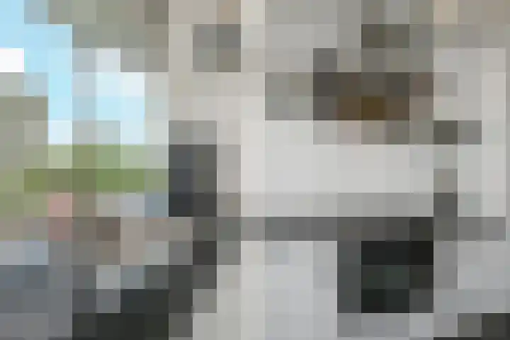 Isabellaland 1504 Den Haag thumbnail 17