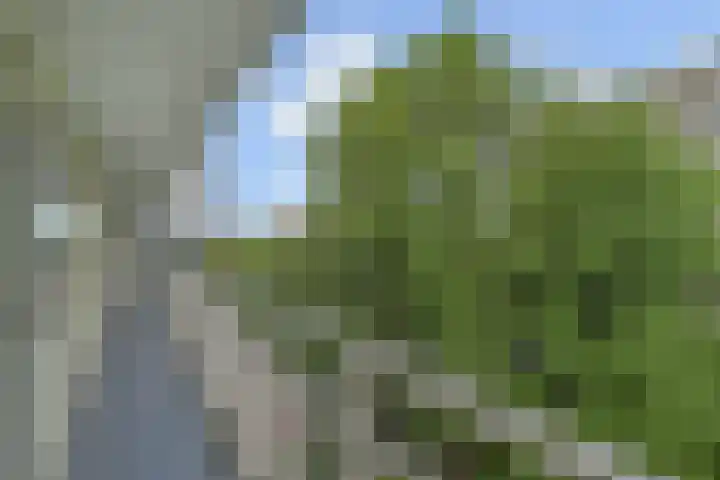 Isabellaland 1504 Den Haag thumbnail 33