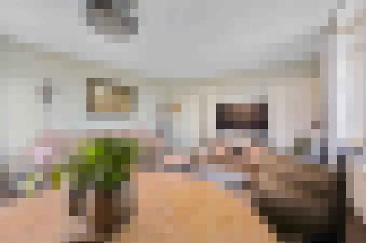 Isabellaland 1642 Den Haag thumbnail 16