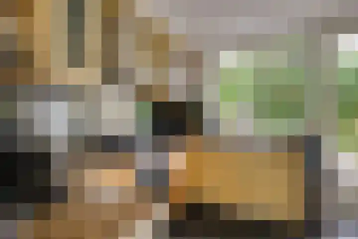 Isabellaland 19 Den Haag thumbnail 10