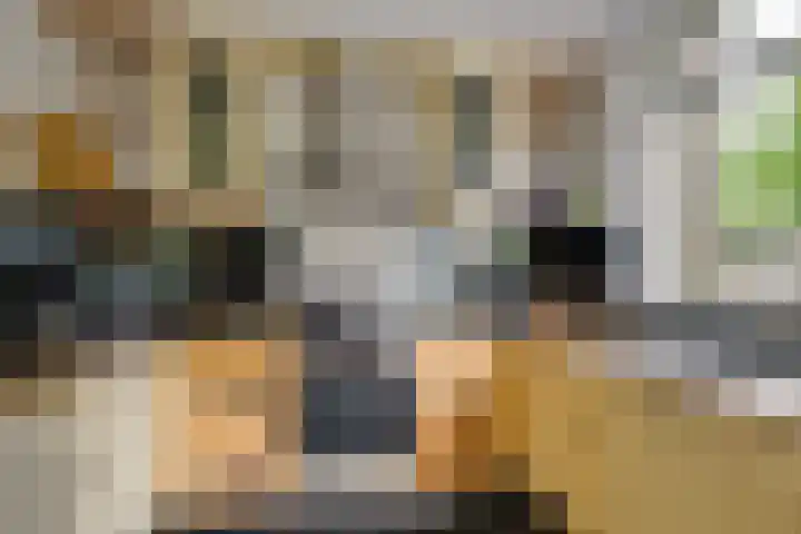 Isabellaland 19 Den Haag thumbnail 11
