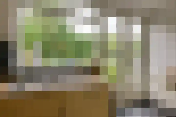 Isabellaland 19 Den Haag thumbnail 12