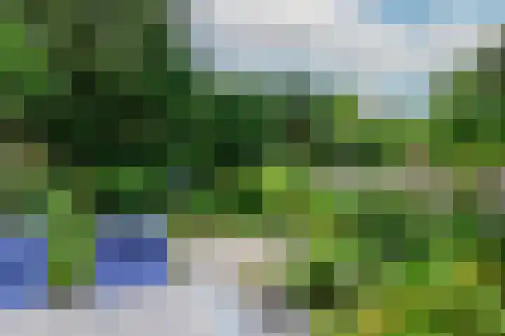 Isabellaland 19 Den Haag thumbnail 13
