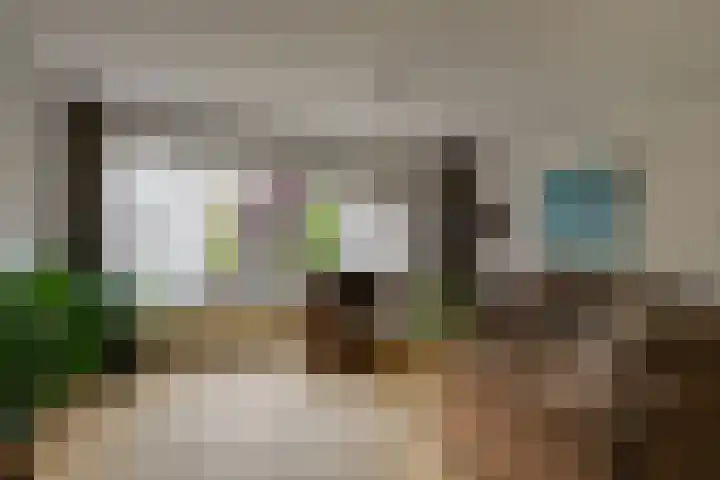 Isabellaland 19 Den Haag thumbnail 14
