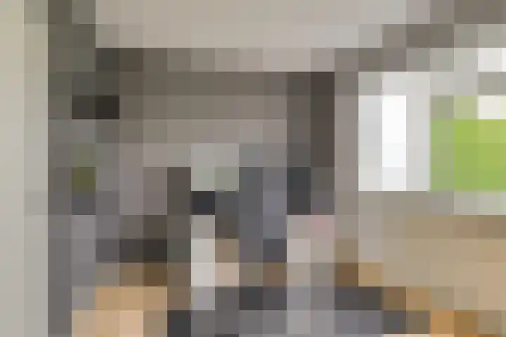Isabellaland 19 Den Haag thumbnail 16