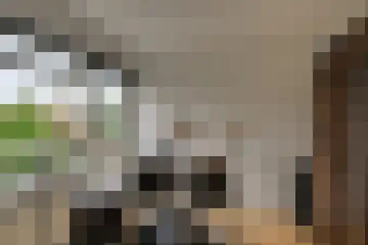 Isabellaland 19 Den Haag thumbnail 18
