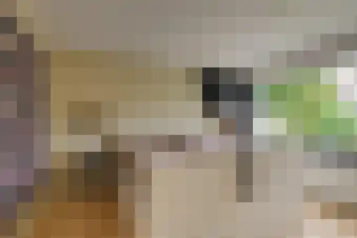 Isabellaland 19 Den Haag thumbnail 20