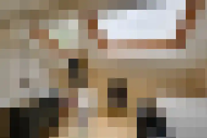 Isabellaland 19 Den Haag thumbnail 22