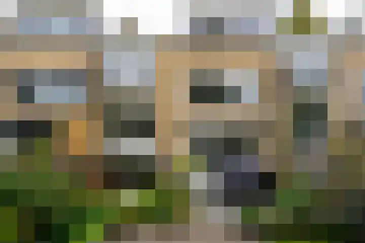 Isabellaland 19 Den Haag thumbnail 31