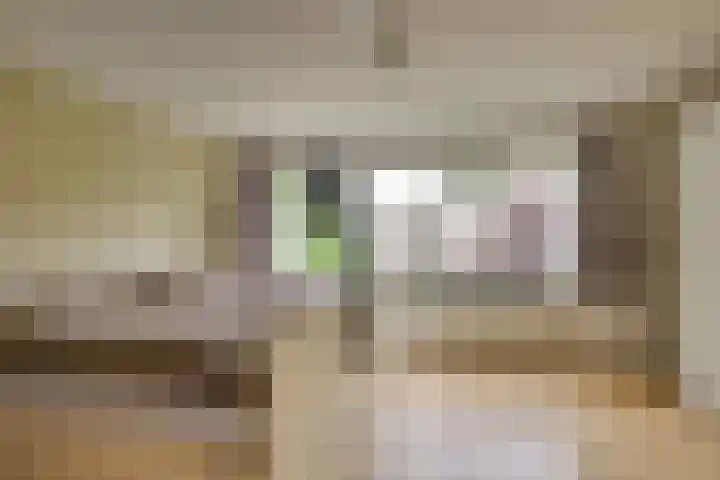 Isabellaland 19 Den Haag thumbnail 4