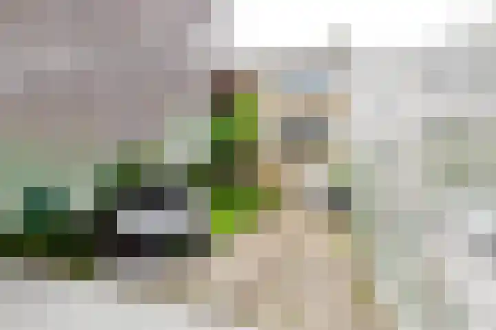 Isabellaland 19 Den Haag thumbnail 5