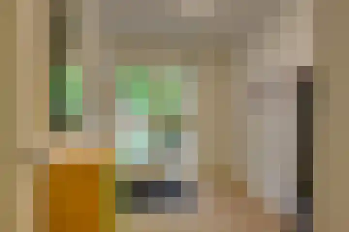 Isabellaland 19 Den Haag thumbnail 7