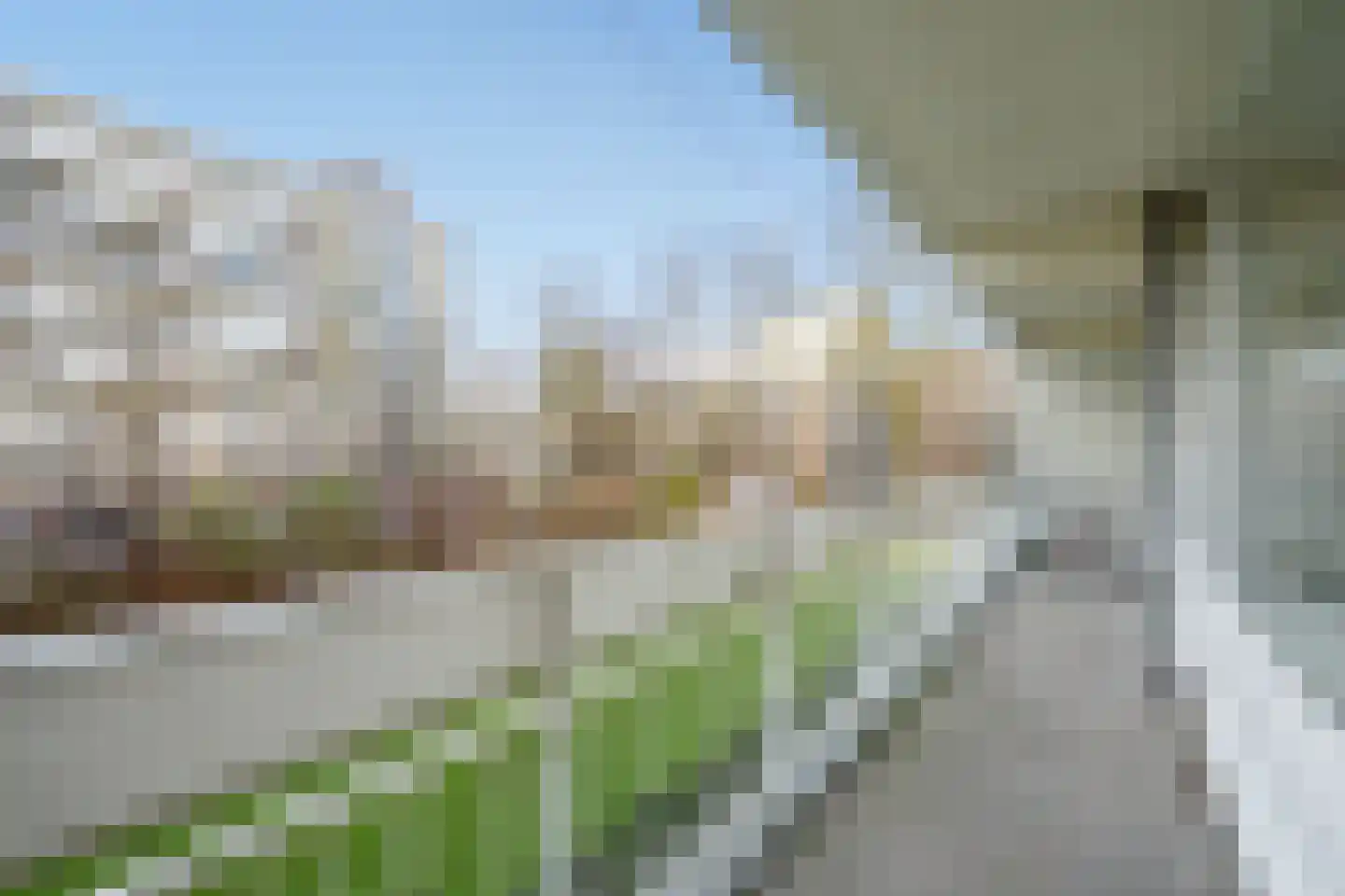 Isabellaland 844 Den Haag thumbnail 23