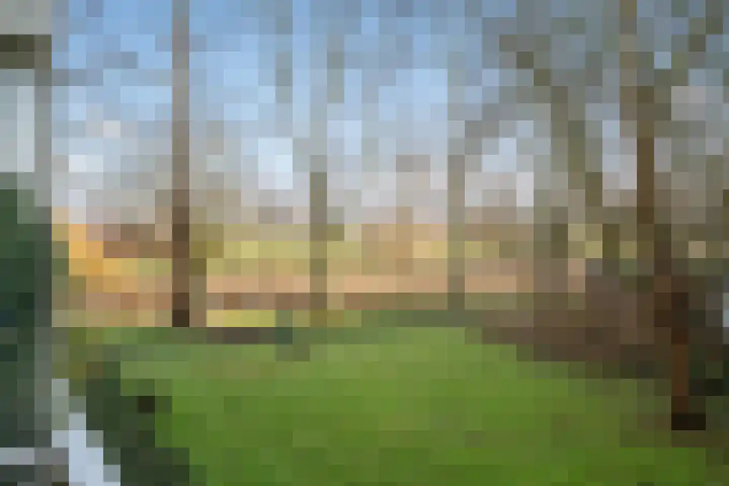 Isabellaland 844 Den Haag thumbnail 25