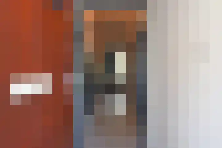 Isabellaland 866 Den Haag thumbnail 15