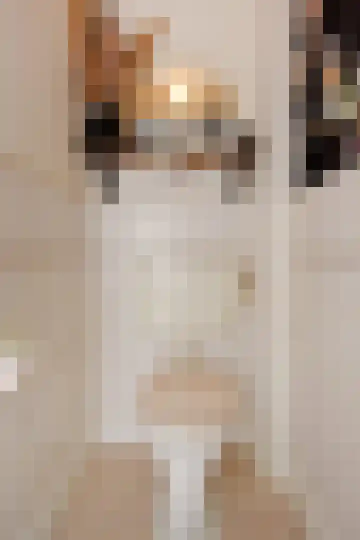 Isabellaland 866 Den Haag thumbnail 17