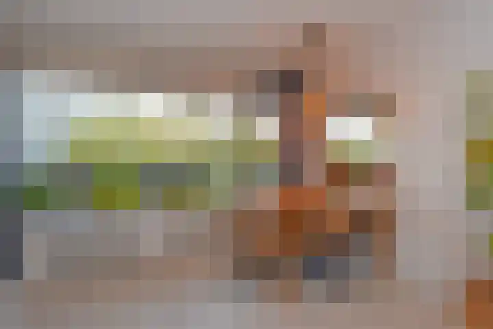 Isabellaland 866 Den Haag thumbnail 27