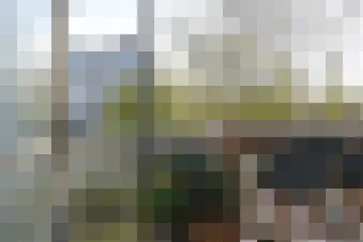 Isabellaland 866 Den Haag thumbnail 29