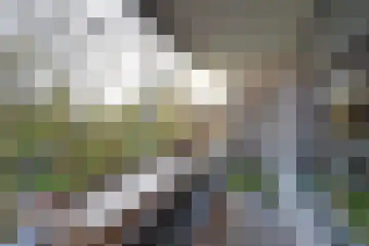 Isabellaland 866 Den Haag thumbnail 31