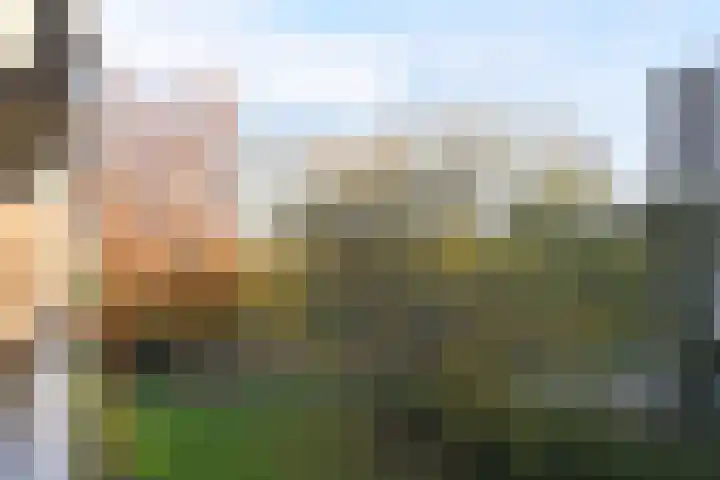 Isabellaland 866 Den Haag thumbnail 32