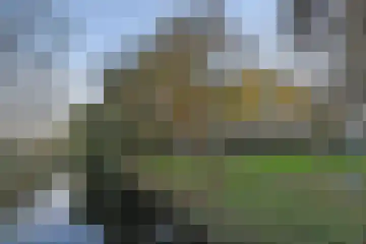 Isabellaland 866 Den Haag thumbnail 6