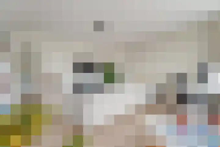 Isabellaland 898 Den Haag thumbnail 12