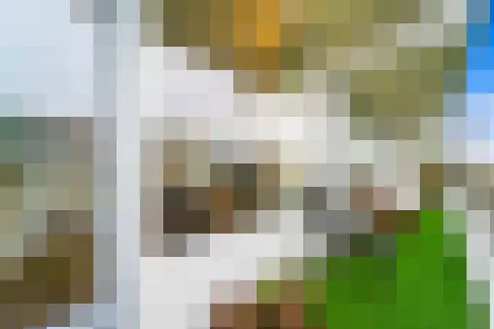 Isabellaland 898 Den Haag thumbnail 15