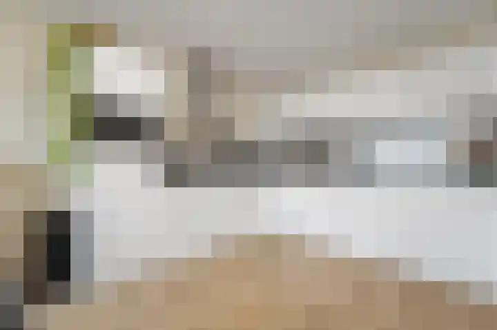 Isabellaland 898 Den Haag thumbnail 19