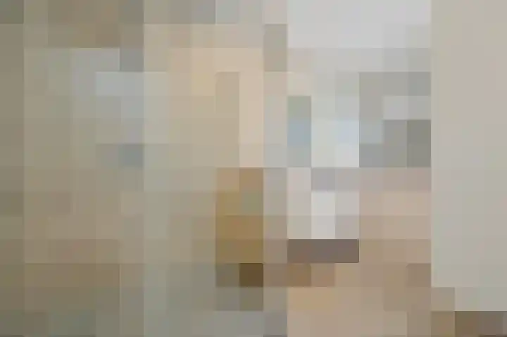 Isabellaland 898 Den Haag thumbnail 21