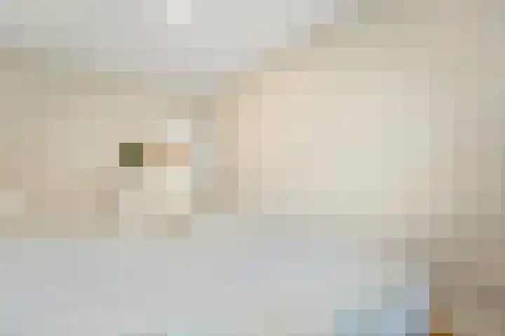 Isabellaland 898 Den Haag thumbnail 29